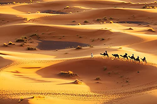 Papier peint photo non tissé - Désert (3324Pr) - 450 x 280 cm - Photo-art camelé - Sable - Caravan - Animaux - Paysage nature - Panorama