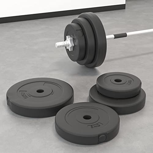 ShGaxin Hantelscheiben 6 STK. 30 kg Zement, Gewichte Hantel, Gewichtsscheiben, Trainingsgewichte, Hantelgewichte, Fitness Gewichte