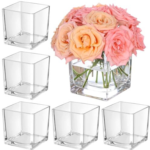 KEYWING Paquete de 6 jarrones Cuadrados de Cristal de 5 x 5 x 5 Pulgadas, jarrones Transparentes para centros de Mesa, jarrón Cuadrado para Bodas, Fiestas, decoración de Oficina en casa