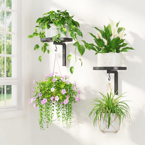 LASZOLA Blumenständer Wandmontage Pflanzenhalter Blumenregal Pflanzenhaken | 2 Stück Moderne Blumentopfhalter zur Wandmontage Hängende Schwebender Metallständer für den Zuhause, Küche, Schwarz