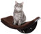 PawHut Katzenliege Katzen Wandliege Katzenbett Katzenregal Wandmontage Plüschauflage Braun 41 x 28 x 21 cm
