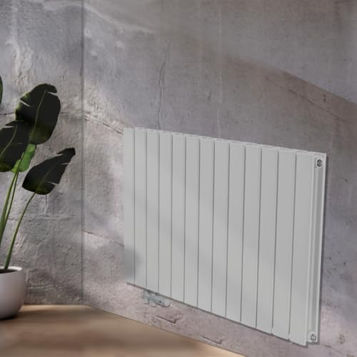 WEBER Heizkörper Flach Design Heizung Paneel-Heizkörper Horizontal Doppellagig Flachheizung Wandheizung (Weiß, 60x122 cm)