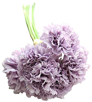 Muttertags Nelken Blumen Geschenk, konservierte ewige lila Nelken Blumen Geschenke für Mädchen, für Immer künstliche künstliche Blumensträuße Geschenkideen zum Muttertag von Kinder Mother Dekoration