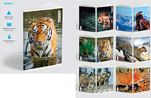 BM Maxi-Heft A4 Animal Lineal 1/2 Grundschule A 80 g 1 Stück
