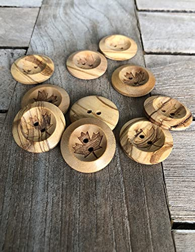 10 Stück Holz Knöpfe 2 Loch 15mm oder 25mm aus echtem Olivenholz mit Ahorn Blatt Motiv Holzknopf Natur (25mm)