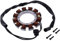 JMP Lichtmaschine Stator für Buell M2 1200 UVM. Motorrad