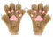 hbbhml Tierpfote Klaue Handschuhe Niedliche Katze Fuchs Bär Plüsch Halloween Weihnachten Laufen Cosplay Kostüm Winter Warme Handschuhe Fäustlinge