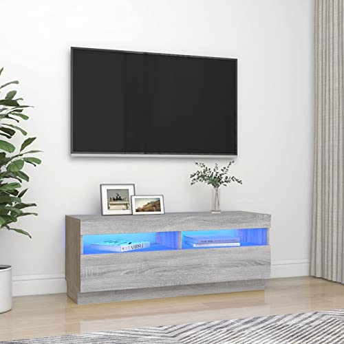 Camerina TV-Schrank mit LED-Leuchten Grau Sonoma 100x35x40 cm HiFi Rack Sideboard Wohnzimmer