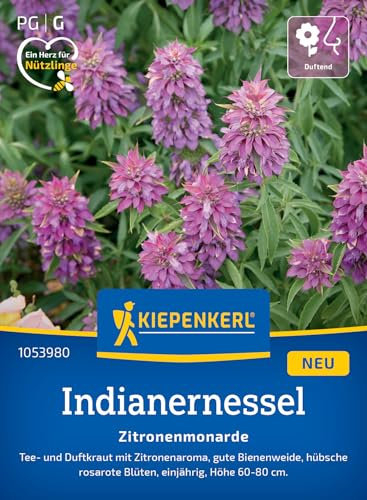 Kiepenkerl Indianernesselsamen Zitronenmonarde 1053980 - Intensiver Zitronenduft, Lockt Bienen & Schmetterlinge an, Kräutersamen für Tee & Limonade, Indianernessel exotisch