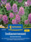 Kiepenkerl Indianernesselsamen Zitronenmonarde 1053980 - Intensiver Zitronenduft, Lockt Bienen & Schmetterlinge an, Kräutersamen für Tee & Limonade, Indianernessel exotisch