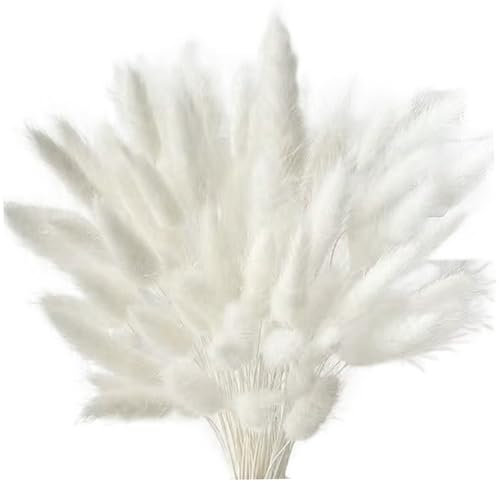 60pcs Pampas Decor de l'herbe 17 Pouces Simulation Fausse Pampas Grass séchés Fleurs séchées drôles Photographies de Photographie