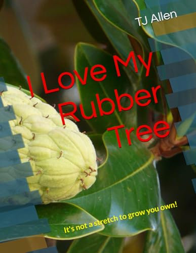I Love My Rubber Tree: It's not a stretch to grow you own
