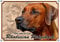Petsigns Hundeschild Rhodesian Ridgeback - rostfreies uv-beständiges METALLSCHILD, DIN A4
