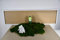 DIY Moosbild 100% Flachmoos, Moosbild selber Machen, Wandbild selber kleben, Do it Yourself Set Moos kleben Wanddeko selbst herstellen (Weiß, 140x40 cm)