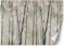 Vliestapete - Tapete 400x280 - Fototapete 3d Effekt - Wanddekoration fur Wohnzimmer - Wandtapete Einfach zu Montieren - Blätter Bäume Blumen Schmetterlinge