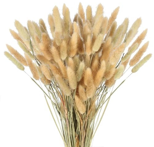 Barlone 120 Stück Pampasgras Klein, Hasenschwanzgras Getrocknet Pampasgras Deko, Natürlich Pampas Gras Trockenblumen Braun, Trockenblumen Klein Pampas Gras für Deko Wohnzimmer Hochzeit Tischdeko