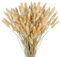Barlone 120 Stück Pampasgras Klein, Hasenschwanzgras Getrocknet Pampasgras Deko, Natürlich Pampas Gras Trockenblumen Braun, Trockenblumen Klein Pampas Gras für Deko Wohnzimmer Hochzeit Tischdeko