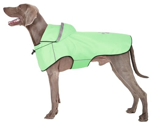 BiPawTi Regenjacke Hund Wasserdicht für Große Hunde – Verstellbarer Hund Regenmantel mit Reflektierenden Kapuze, Ultraleicht Bequem Hunderegenmantel für Trockene, Sichere Gassigänge (XL | Mint)