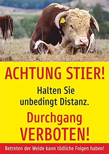 Schild: Achtung Stier! Durchgang verboten! - A4, 210x297mm | Aluverbundplatte
