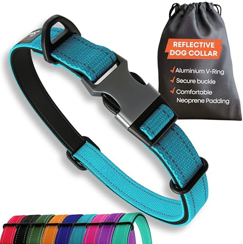 Blue Dog Collar Large Dogs – Strong Reflective Adjustable Padded Dogs Collars - Aluminium V-ring Dog Safety