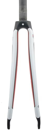 HIMALO 700C Forcella per Bici da Corsa T800 Carbonio Forcella Rigida Dritta/conica Tubo Sterzo Senza Filettatura Freno C Forcella Anteriore QR 9 * 100mm (Color : Matte, Size : Straight)