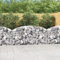 Chaduof Gabione mit Hochbogen, Gabionenkörbe, Gabionen Hochbeet, Steinkorb, Gabionengitter, Drahtkorb Für Pflanzen, Kräuterspirale Für Garten, 200x30x80/100 cm Verzinktes Eisen