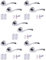 HANDLEZONE® 5 Sets Lobo Internal Door Handles on Rose Lever Latch Packs with 75mm Ball Bearing Hinges and 65mm Latches - Polished Chrome