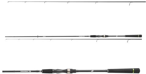 DAIWA Prorex S Spin, 2,40m, 10-30g, 2 Teile, Extra Fast/Fast, Angelrute, Spinnrute, 11282-241