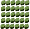 Climbing Plant Clips, 30x Adhesive Invisible Vine Holders, 1.26x0.79x0.51 Inches Leaf Fixer Hooks Gardening Fixtures for Wall, Indoor Outdoor Use, Garden and Home Decor Support