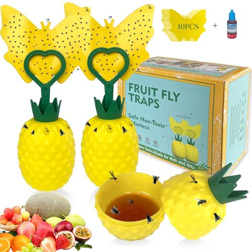 Fliegenfalle,2 Stück Fruchtfliegenfalle Innenbereich mit Lockstoff,Wiederverwendbare Obstfliegenfalle, Fliegen Fänger mit Gelbsticker,für Pflanzen Innen und Außeninsekten Fliegenkontrolle (style04)