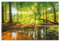 ARTland Spritzschutz Küchenrückwand aus Alu für Küche Herd Spüle 60x90 cm (BxH) mit Motiv Natur Landschaft Wald Bäume Sonne Bach Landhaus Grün T9IO