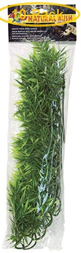 Zoo Med Madagascar Lot de 10 grandes plantes en bambou pour aquarium 55,9 cm de haut