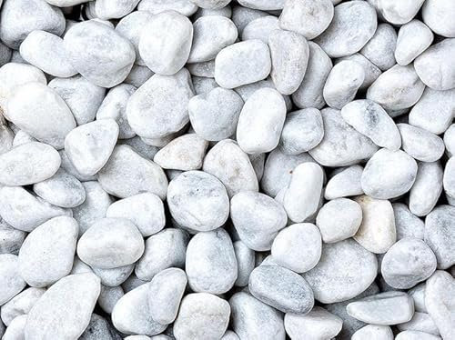 Geosism & Nature Ciottoli, Sassi per Giardino, Bianco Carrara 25-40 mm (40 Sacchi da 25 kg)