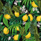 VEELIKE Papier Peint Tropicale Citron Jaune Papier Peint Feuillage Vert Papier Peint Fleuri Noir Papier Peint Jungle Feuille de Palmier Papier Peint Adhesif Mural Chambre Salle de Bain 44,5cm×300cm