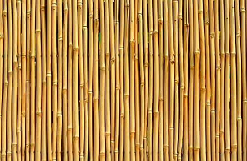 BAMBUS Fototapete VLIES-500x280 cm (4834A)-Natur Holz Design Baum Muster Steinwand Holzwand Wandtapete-Inkl. Kleister-Vliestapete Bild Dekoration Wand-Dekor Moderne Motiv-Tapete Panorama Poster XXL