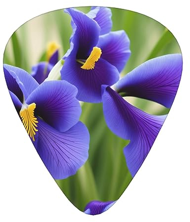 (Violets Flower) Gitarrenplektren Set von 12 mit transparenter Kunststoffbox für Bass-, Elektro- und Akustikgitarren, Ukulele