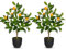 Hollyone 2 Stück Künstliche Pflanze Deko Orangenbaum, 60cm Plastik Pflanze im Topf Schwarz, Zimmerpflanzen Künstlich mit Orangenzweig und Orangen Früchte für Home Decor Wohnzimmer Küche Büro