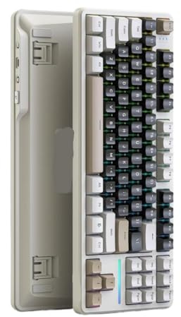 RCGtnnesa Wireless Keyboard X87 HIFi Sound Quality RGB Colorful FR4 1.2mm Single Key Slotted PCB 4000mAh(Cheese White)