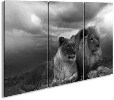 Leinwandbild Löwen in Afrika, ruhend im goldenen Gras der Savanne. Format: 120x80 cm (3Teilig) Effekt: Schwarz&Weiß XXL Kunstdruck Bild auf Keilrahmen/Wandbild/Wohnzimmer Deko