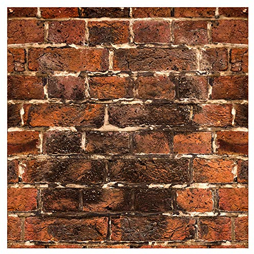 murando - Tapete selbstklebend 10m Wandtattoo dekorative Möbelfolie Dekorfolie Fotofolie Panel Wandaufkleber Wandposter Wandsticker - Ziegel Ziegelwand Ziegelmauer f-C-0328-j-a