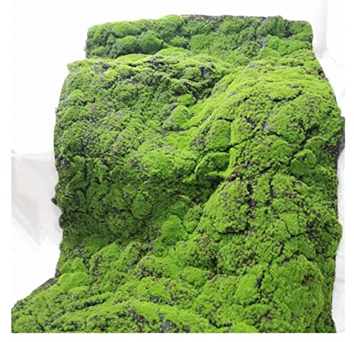 Aoisavch Künstlicher Moos-Moos-Teppich, DIY gefälschte grüne Pflanzen, Kunstmoos for Gras, Garten, Wand, Wohnzimmer, Dekorationszubehör, 8 Stile (Color : A, Size : 3.28'x3.28'/1x1m)