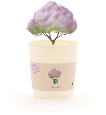 Klimabaum-Anzuchtset als umweltbewusstes Geschenk | Anzuchtbecher mit Klimabaum-Saatgut, Kokos-Quelltablette & Anleitung | Nachhaltige Geschenkidee für Mitbringsel, Geburtstage & Dankeschön
