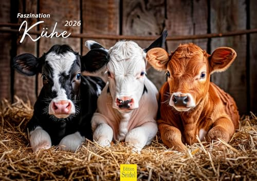 Edition Seidel Premium Kalender Faszination Kühe 2026 Format DIN A3 Wandkalender Kuhkalender Kuh Rind Kalb heimische Tiere Bauernhof Weide