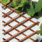 bellissa Scherengitter ausziehbar - Rankgitter Holz-Spalier oder Scherenspalier Rankhilfe im Garten braun 270x45cm