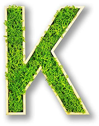Moosly® Moosbild - K - mit Rahmen aus Holz, Moos Deko Buchstaben Zeichen Symbol Zahl Holzbuchstabe mit echtem Islandmoos Wandtattoo Wandsticker Wandbild selbstklebend Wohnzimmer (112 K)
