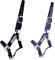 NETPROSHOP Sicherheitshalfter Weidehalfter gepolstert Größe Pony, Cob, Full, Groesse:Cob, Farbe:Schwarz
