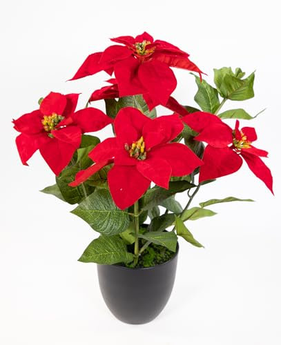 Seidenblumen Roß Großer Weihnachtsstern rot im schwarzen Topf DP künstliche Blume Kunstpflanze Kunstblumen Poinsettie (56cm)