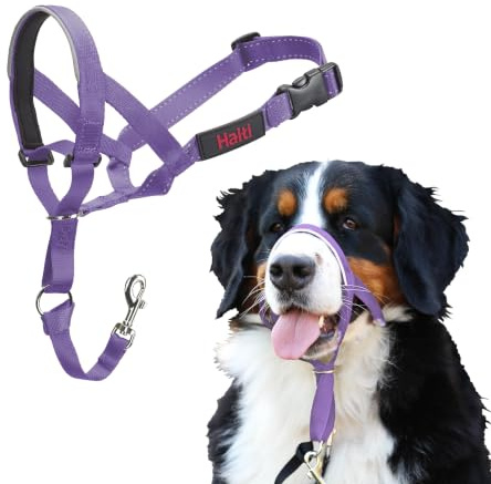 Licol Halti pour Chiens | Taille 4, Violet | Pour que votre chien arrête de tirer sur sa laisse, Muserolle Matelassée, Colliers anti-traction pour grands chiens