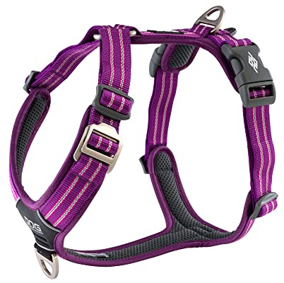DOG Copenhagen Hundegeschirr - Comfort Walk Air Version 2 - Brustgeschirre für Hunde, Purple Passion, XL