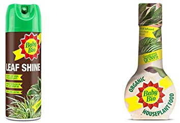 Baby Bio 84899143 Leaf Shine, 200ml - Ready To Use Houseplant Care - Aerosol Spray for a Natural Long Lasting and Healthy Shine - Prevents Yellowing & Organic Houseplant Food, 175ml